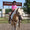 DFW#1 horse boarding Horse boarding, Best boarding in Fort Worth Texas