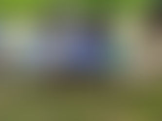 Summer Horse Camp at Benbrook Stables