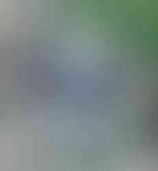 Benbrook Stables Fort Worth Texas Christmas horseback riding gift certificate