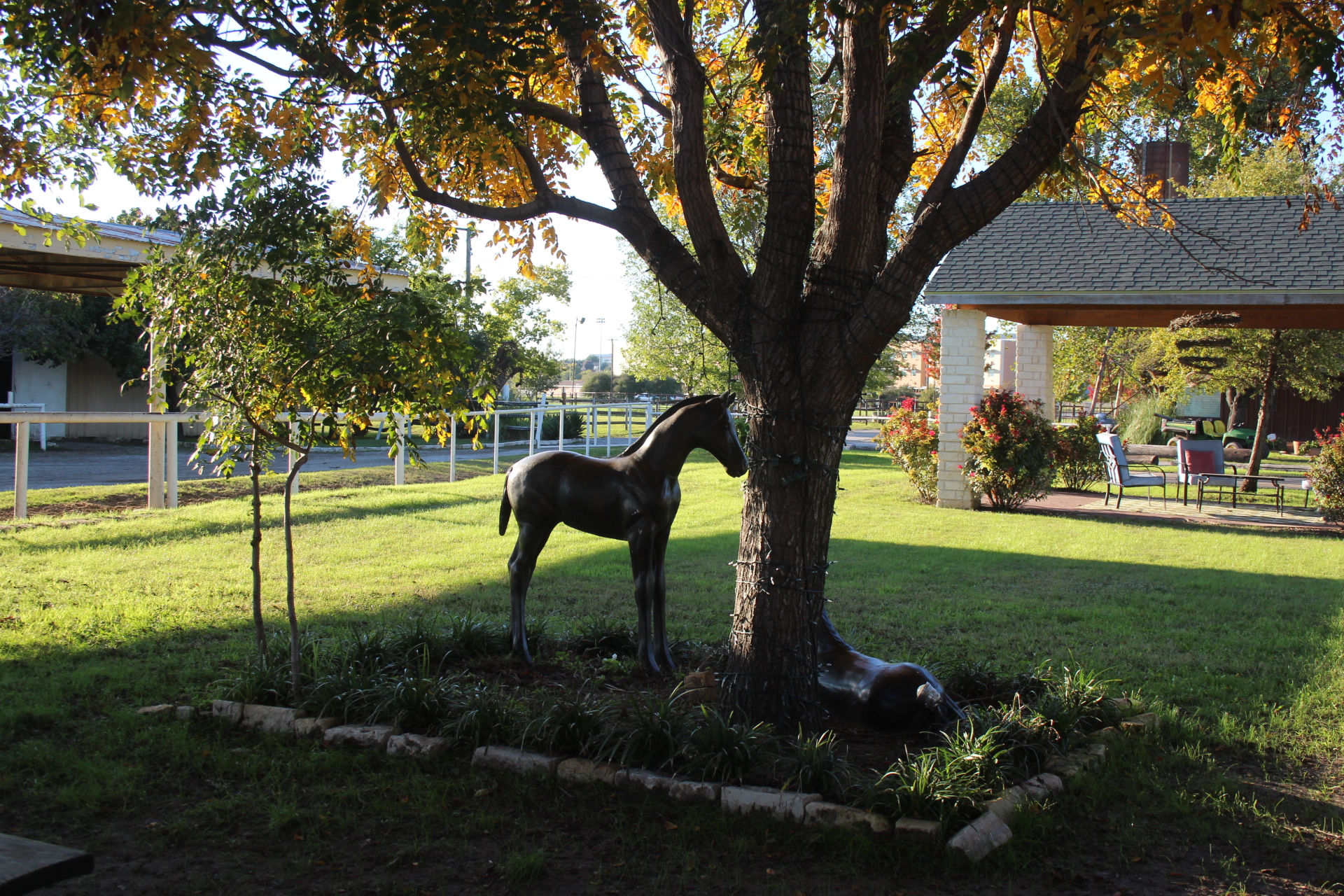 FW horse stables best of Horse boarding, Best boarding in Ft. Worth Texas
