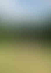 Benbrook Stables voted best Trail rides Texas