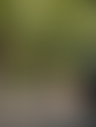 Benbrook Stables Best Trail Ride in Ft. Worth, Tx. 2022