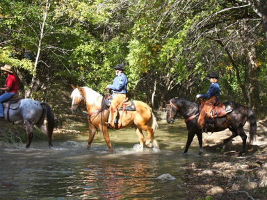 Surprise them with an unforgettable adventure! Purchase Online Gift Certificates Today!