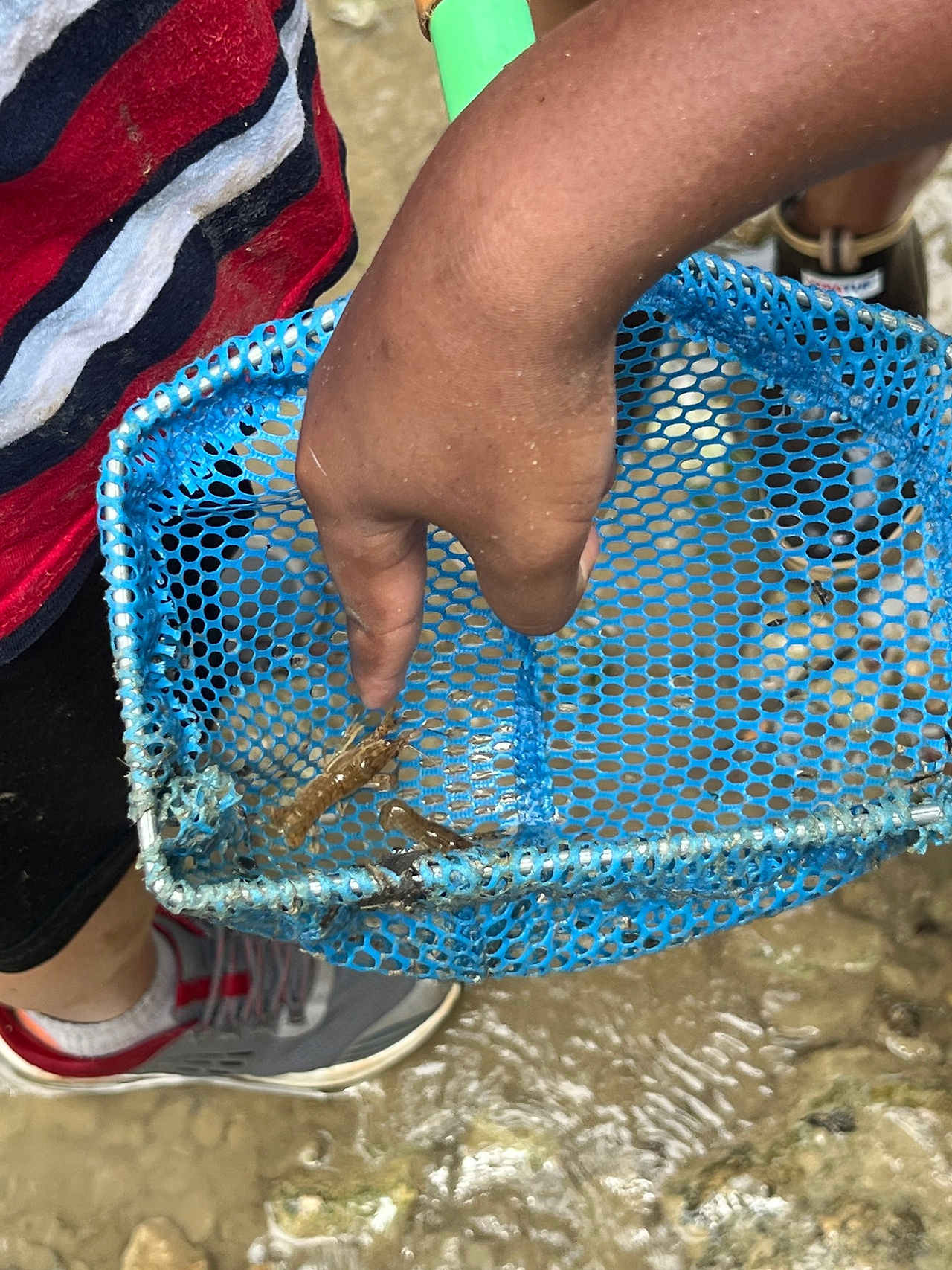 Fish Camp at Benbrook Stables