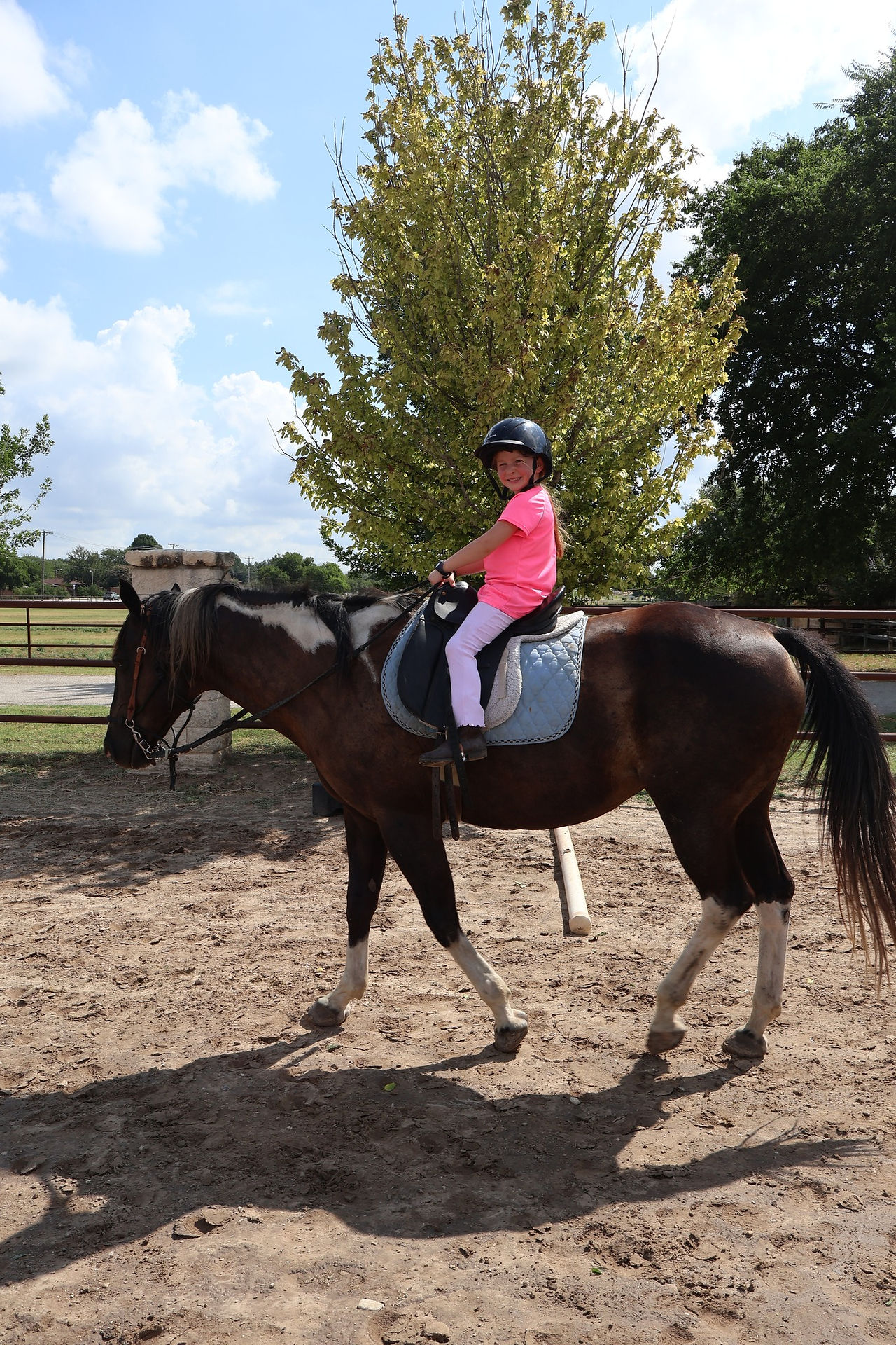 Benbrook Stables Horse Camp Fort Worth Texas Fall Camp for Kids Horse Back Riding Horsemanship