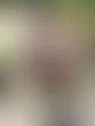 Horseback riding Christmas gift in Fort Worth Texas at Benbrook Stables ranch