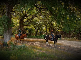 Two riders on horses riding through the lush greenery on the trail head at lake Benbrook