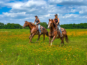 Guided horse trail crossing scenic paths at Benbrook Stables Fort Worth