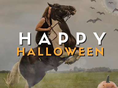 Happy Halloween From Benbrook Stables