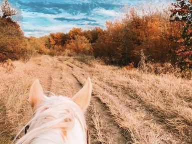 Ride Into a True Fort Worth, Texas Adventure This Thanksgiving at Benbrook Stables