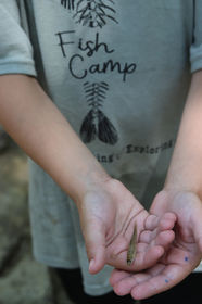 Voted Ft. Worth's #1 Spring Break and Summer Camp