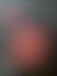 Benbrook Stables Voted Best Horseback Riding Trail Fort Worth Texas 2022