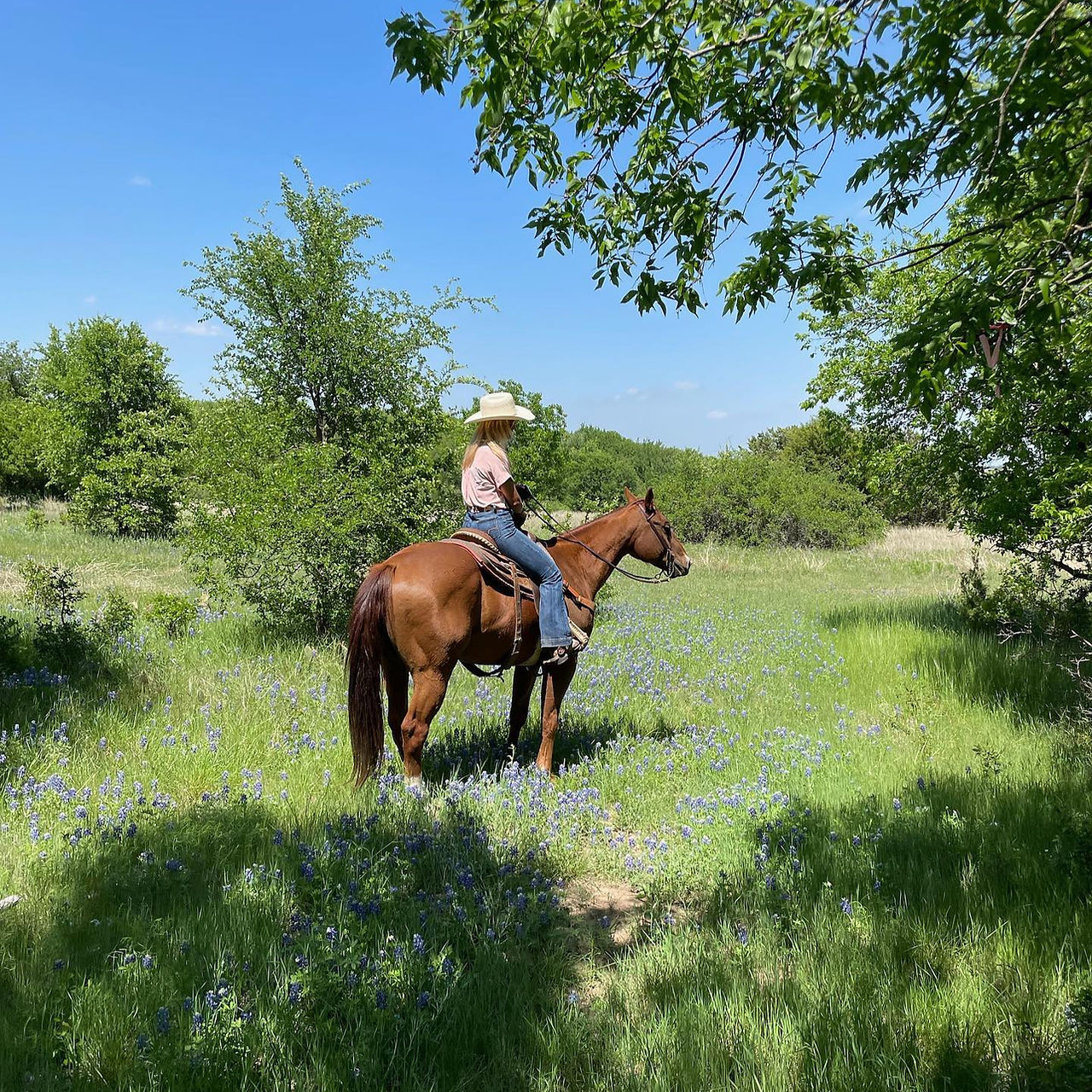 Benbrook Stables Trail rides