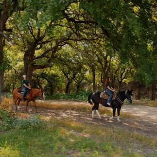 Fort Worth Texas trail riding adventures at Benbrook Stables