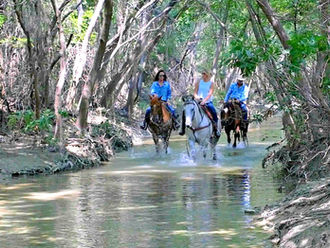 Labor Day Trail Ride at Benbrook Stables