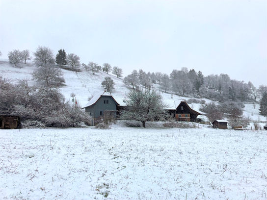 Natur erleben | Natur- und Tiergestützte Gesundheitsförderung | Spielgruppe auf dem Bauernhof und im Wald | Angebot für Kindergarten- und Schulkinder auf dem Bauernhof und im Wald | Workshops für Mädchen | Mädchenkreis | Natur- und tiergestütztes Coaching | Frauenkreise | Lenzburg | Aargau | Schweiz | www.natur-mensch-tier.ch