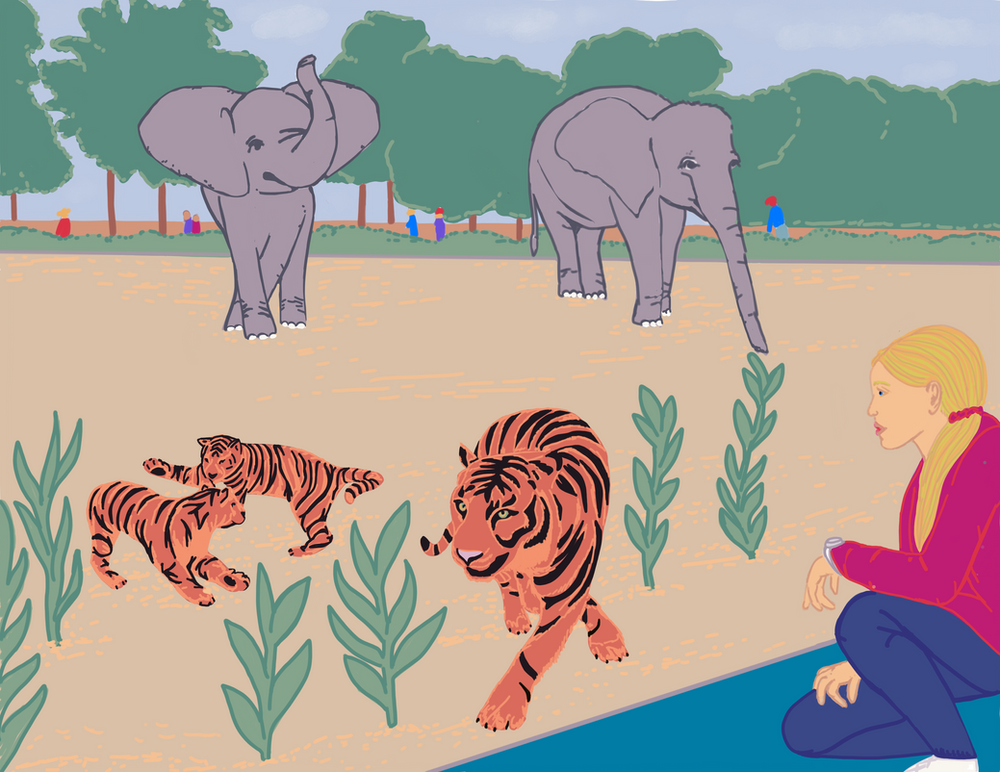 13 Zoo Inspired Homeschooling Activities