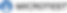 MICROTEST_logo.png