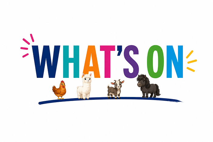 What's on Banner smaller.png