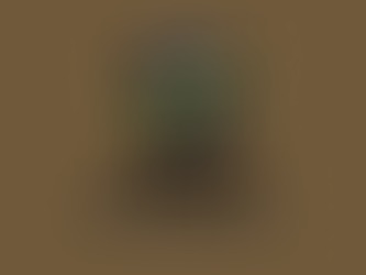 Tennis Picks 2/25 (3)