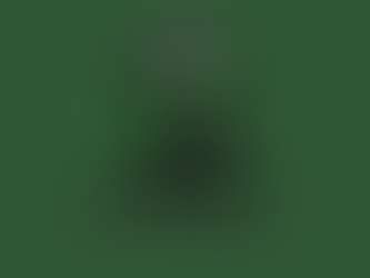 Tennis Picks 2/9 (2)