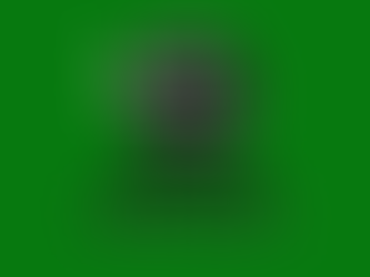 Tennis Picks 10/24 & 10/25