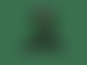 Tennis Picks 2/26 (2)