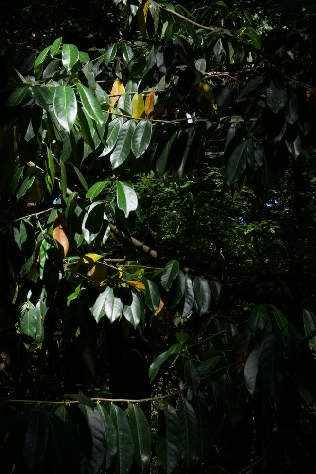 DSC06936.jpeg