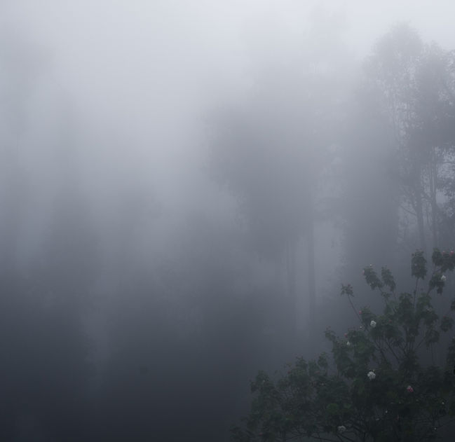 DSC09375.jpeg