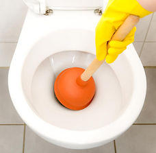 clogged toilet_edited.jpg