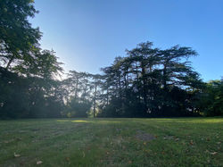 Parc