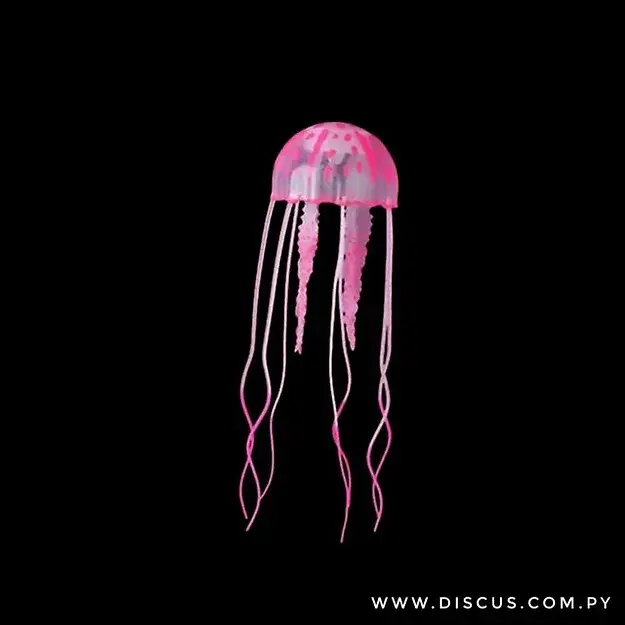 Miniatura: Medusa Jelly Fish Grande