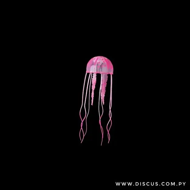 Miniatura: Medusa Jelly Fish Mediano