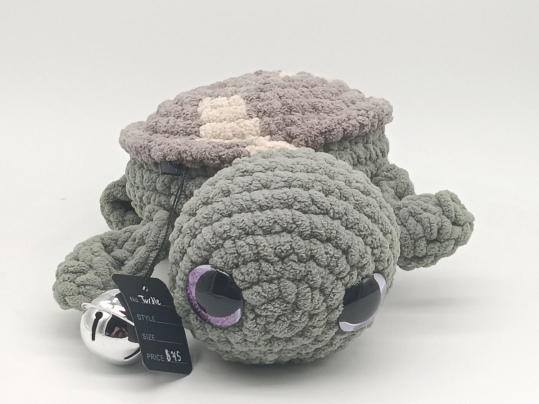 Fancy Turtle