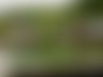 Descoperind Frumusețea Localității Mara din Maramureș