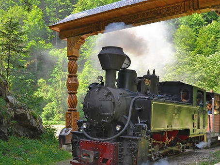 Descoperă Măreția Văii Vaserului din Viseu de Sus