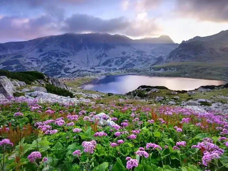 Cele mai bune rezervații naturale din România