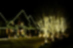 Christmas Lights Nov23-130