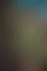 A section of the Ouray Perimeter trail down steep steps