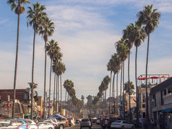 The Best Neighborhood in San Diego, California: Ocean Beach