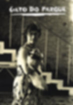 Gato do Parque