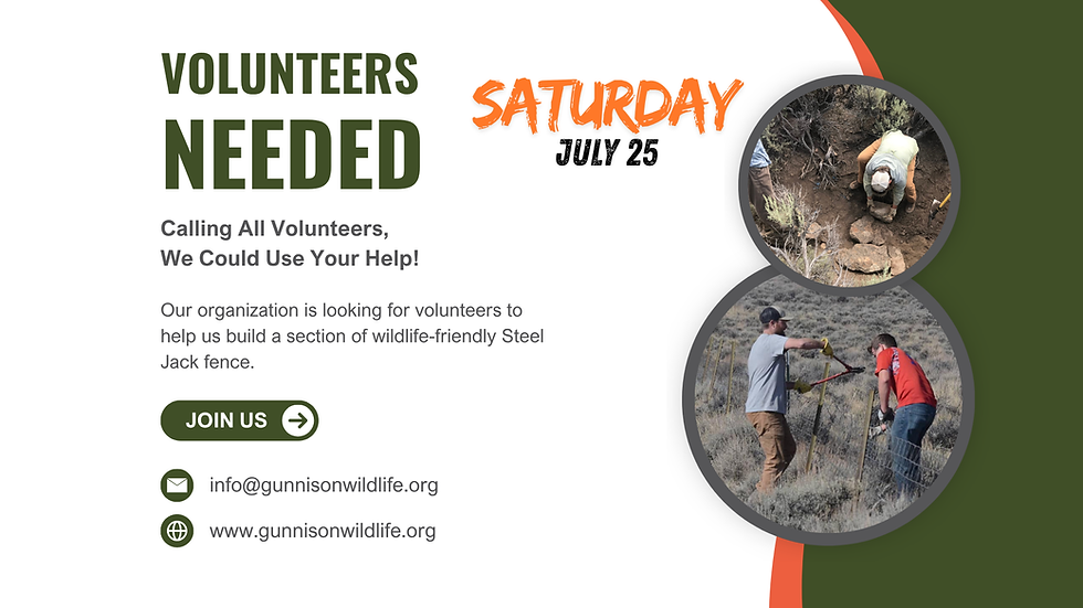 Working For Wildlife - Saturday
