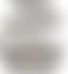 Le top 50 des programmes d’études 2011-2012