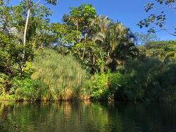 WoodsParadise_photo_costarica_vacations_houses_rent_8