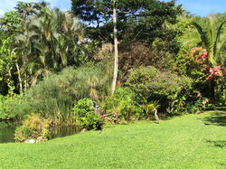 WoodsParadise_photo_costarica_vacations_houses_rent_36