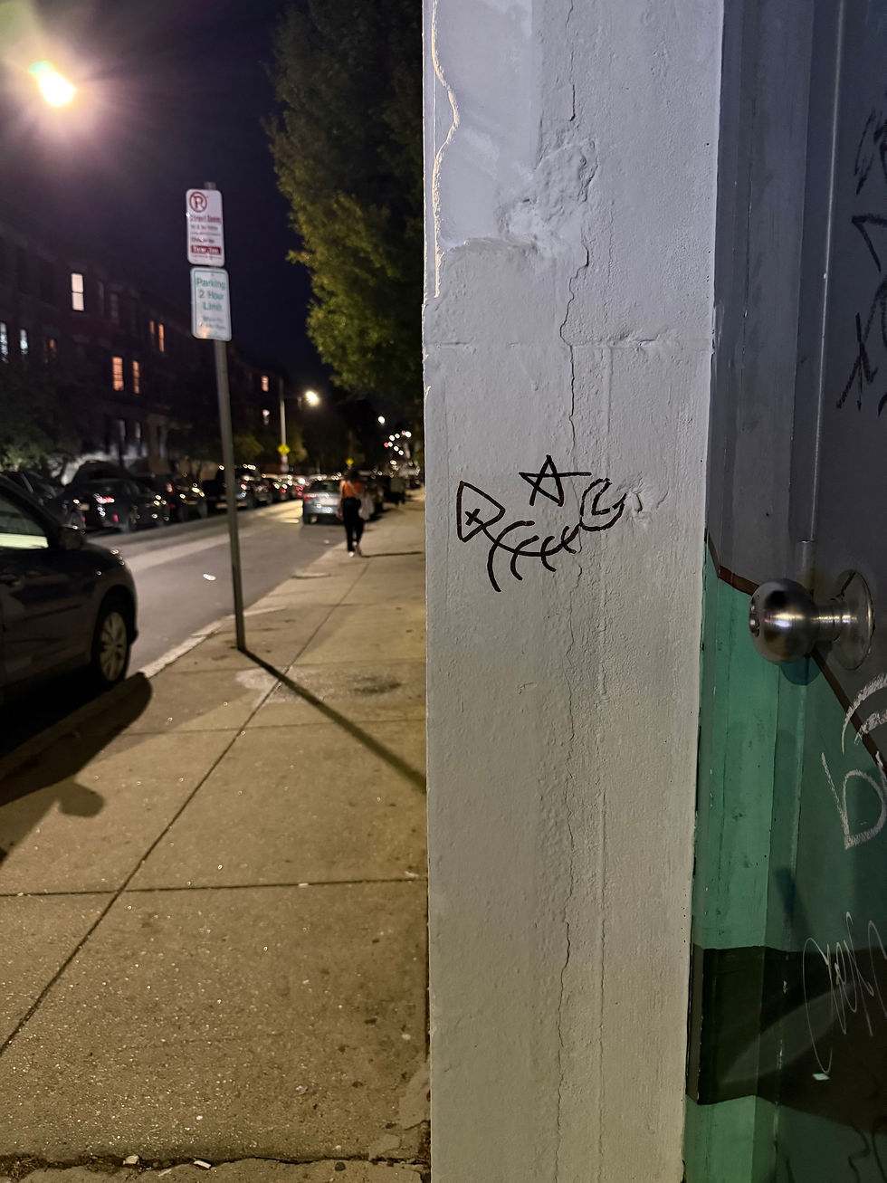 IMG_1014.jpeg