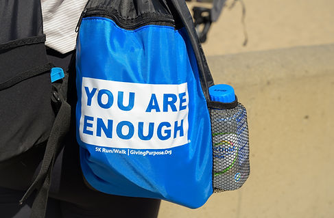 The bag.jpg