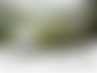 Den otevřených dveří