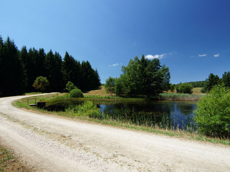 Tábor Červená Lhota 2017