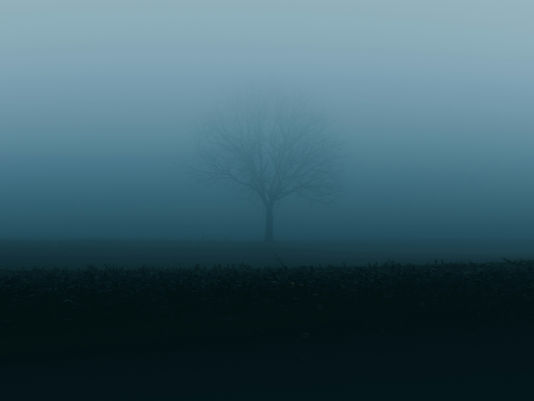 The Most Important Thing is Invisible